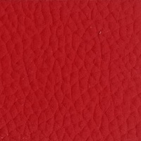 E702F red leather